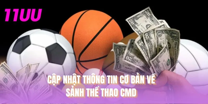 Cập nhật thông tin cơ bản về sảnh thể thao CMD